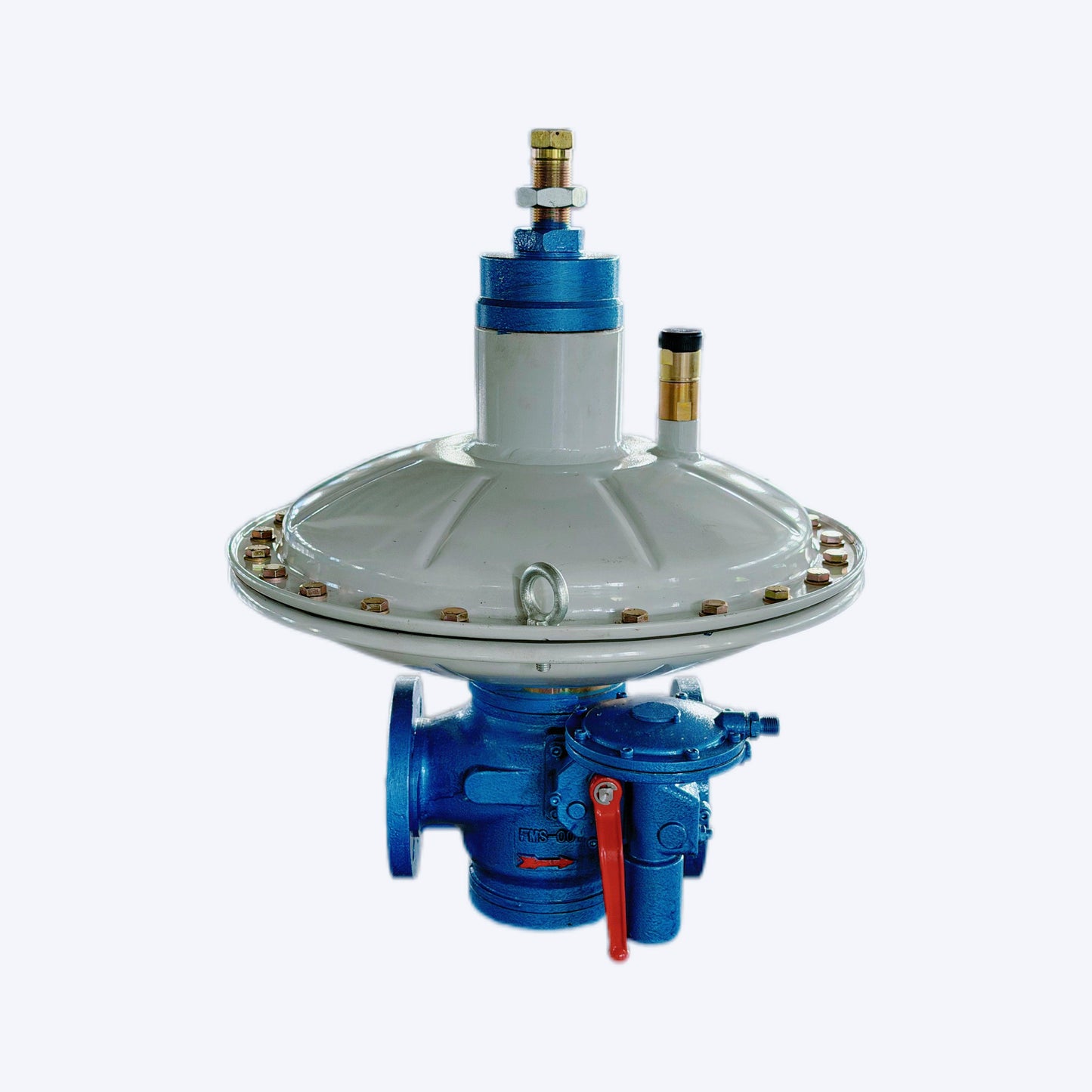 RTZ1-*/*A/AQ series direct-acting combustion regulator