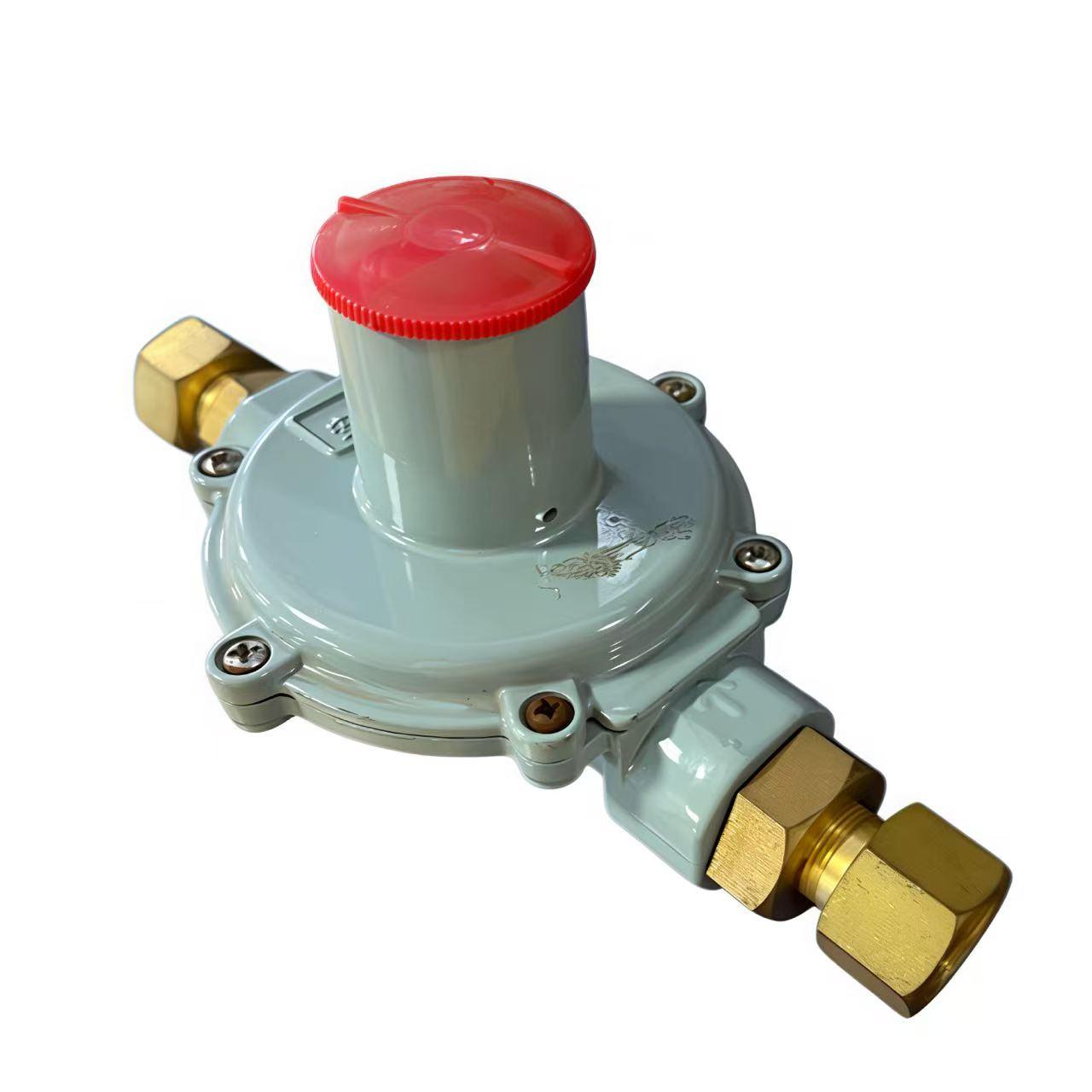RTZB-15/*L Type Gas Pressure Regulator Before Meter