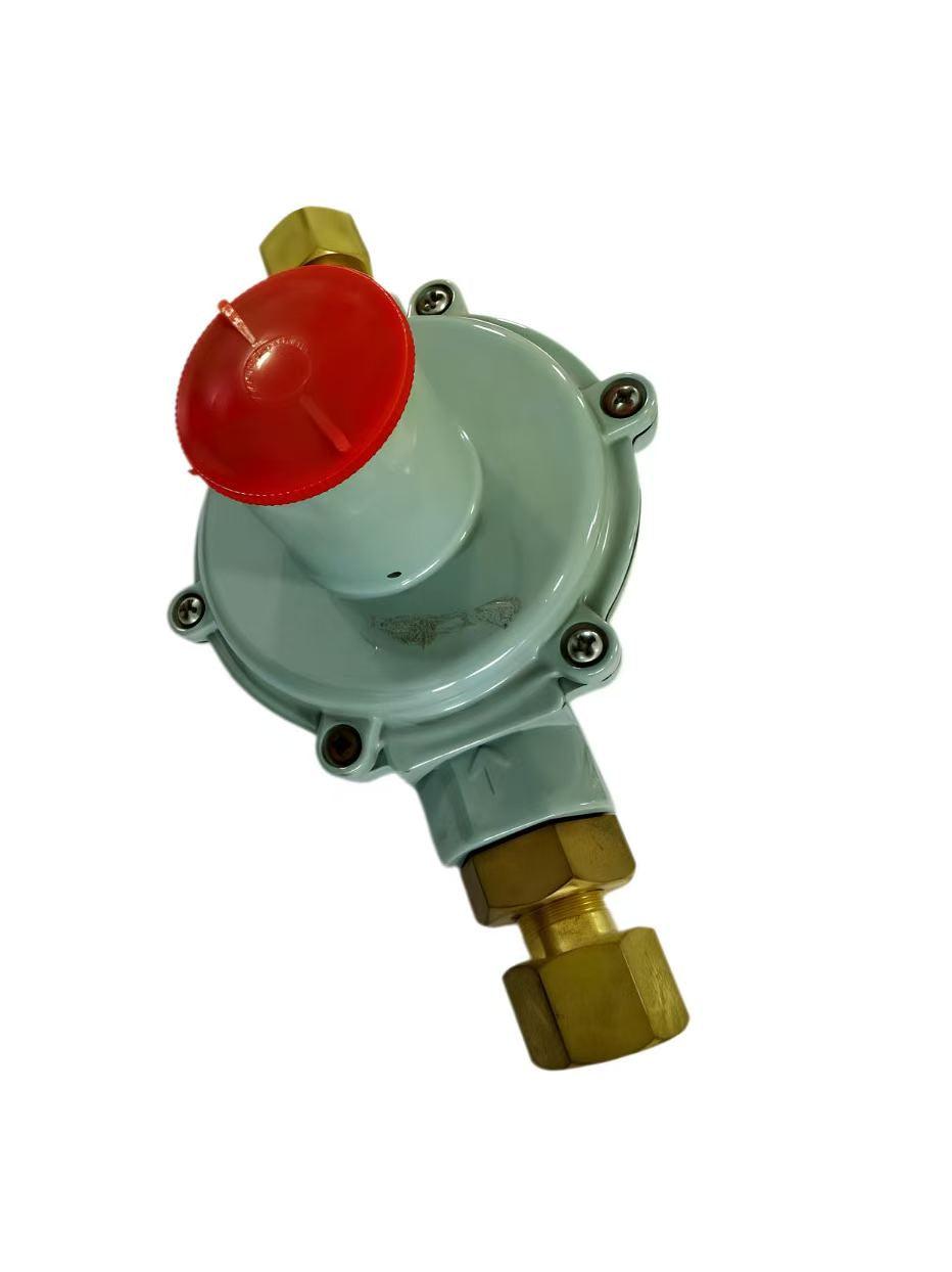RTZB-15/*L Type Gas Pressure Regulator Before Meter