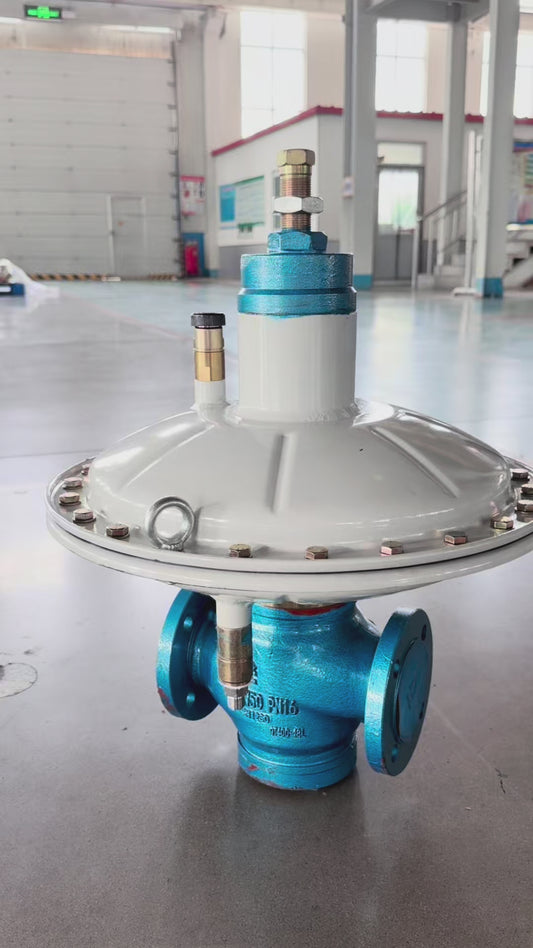 RTZ1-*/*A/AQ series direct-acting combustion regulator